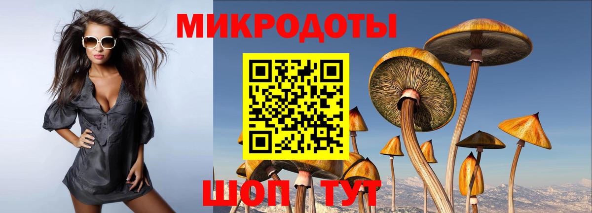 Псилоцибиновые грибы мухоморы Скопин