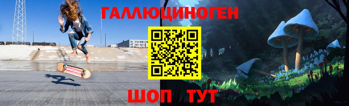 Скопин  как найти закладки  Вход с VPN  Псилоцибиновые грибы Psilocybe 